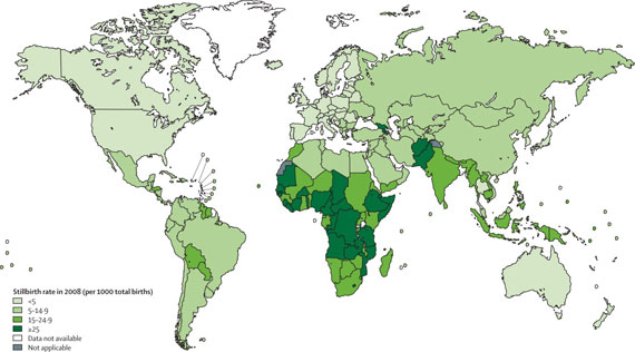 Коэффициент мертворождаемости (на 1000 рождений) в 2008 году