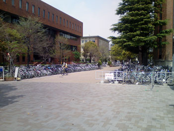 Организованная и стихийная парковка велосипедов в кампусе Киотского Университета.