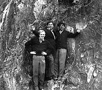  1965 .   